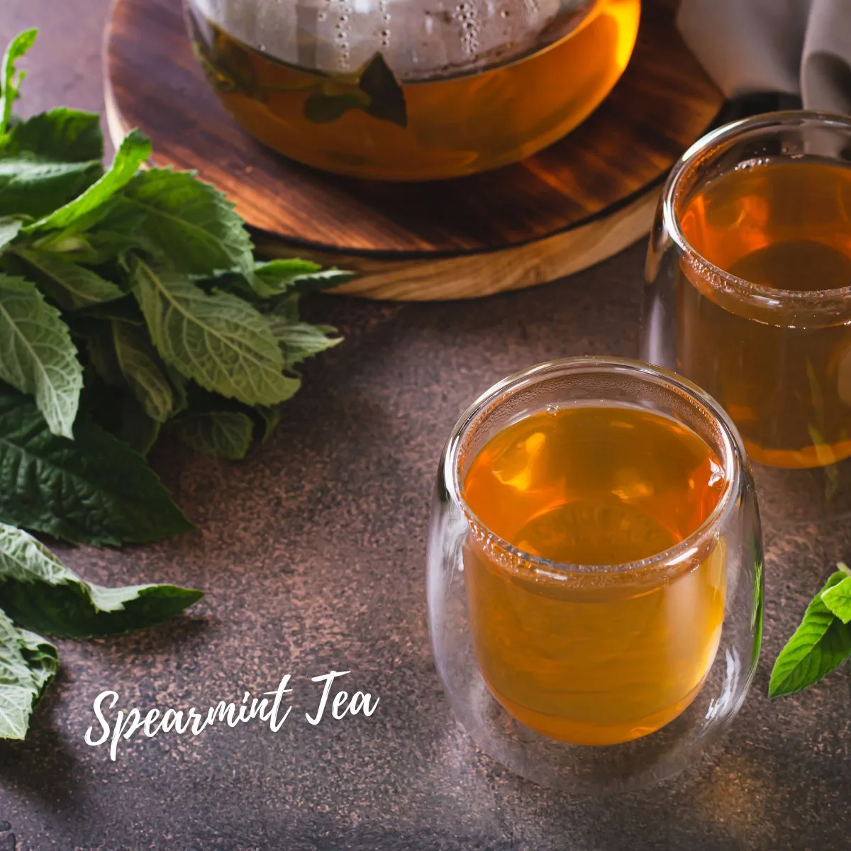 Spearmint Tea Spearmint Tea