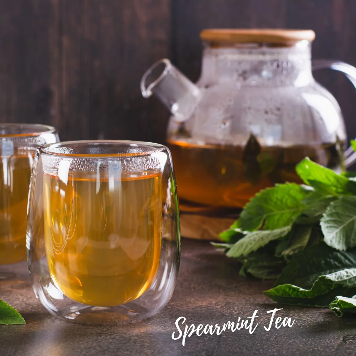 Spearmint Tea Spearmint Tea