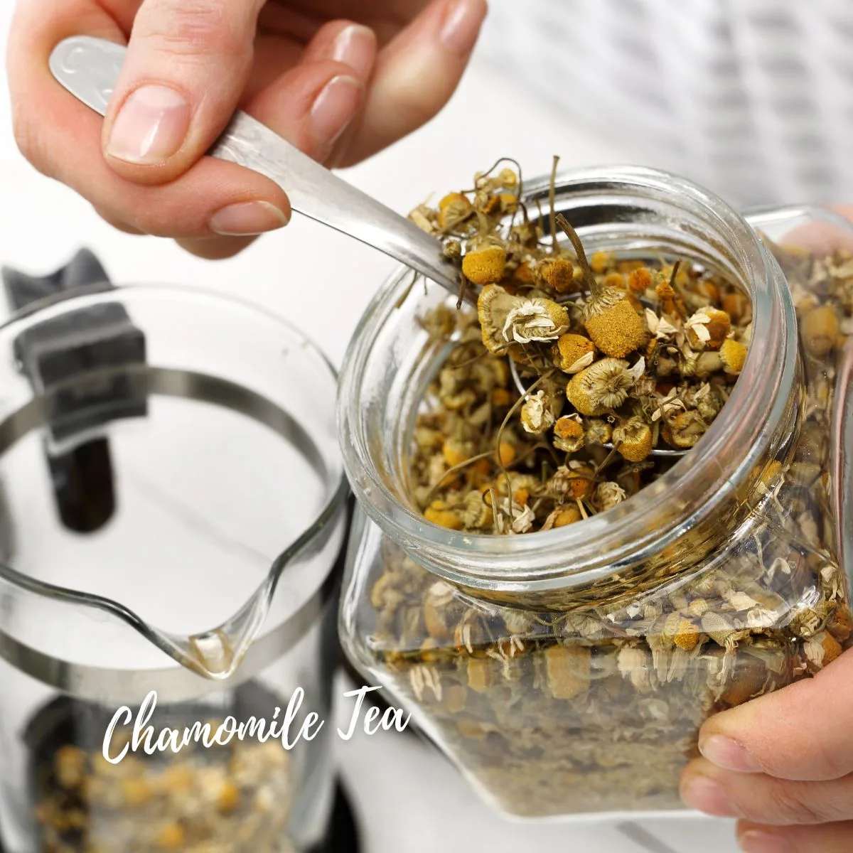 Chamomile Tea Chamomile in Urdu