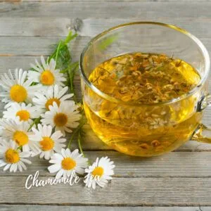 Chamomile Tea in Pakistan​